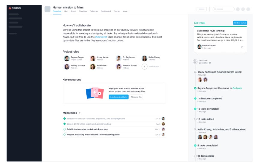 Project overview in Asana.